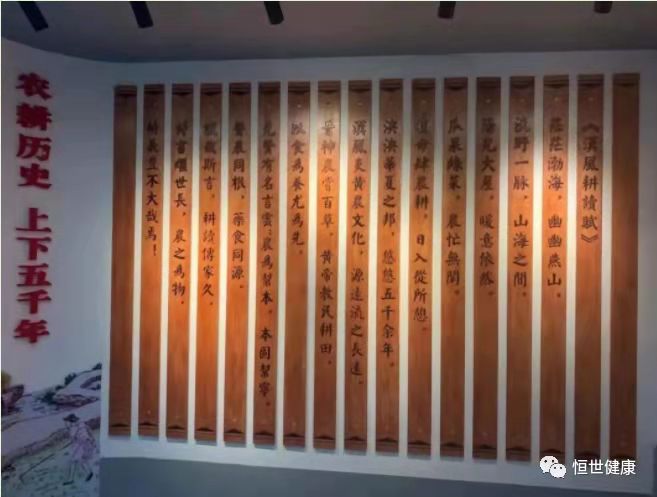 功能農(nóng)業(yè)8.jpg